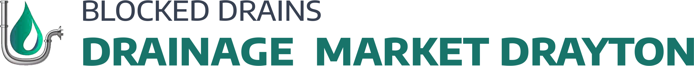 website logo